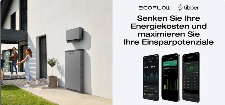 EcoFlow Image