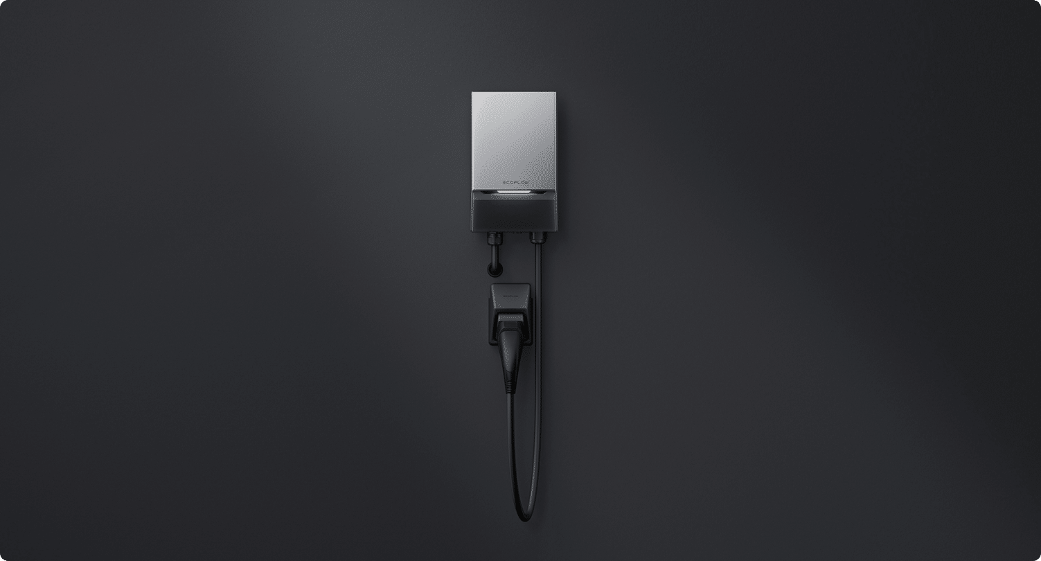 EcoFlow Image