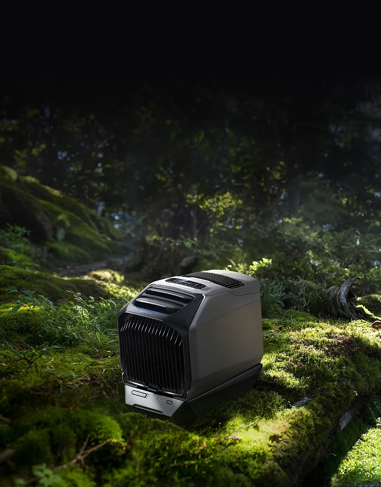 EcoFlow Image
