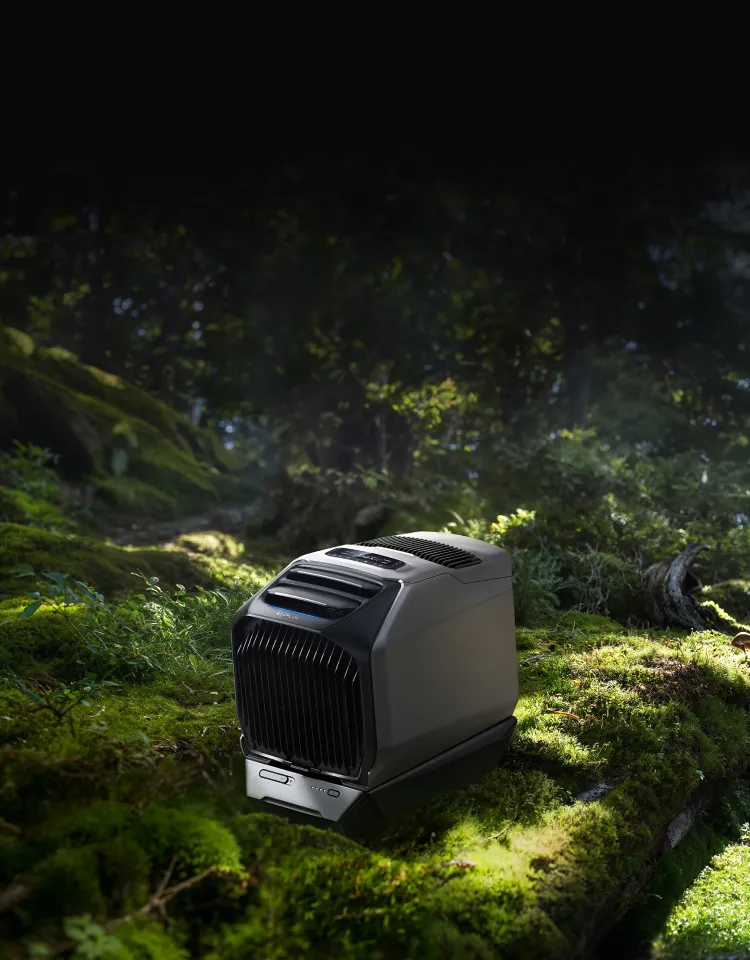 EcoFlow Image