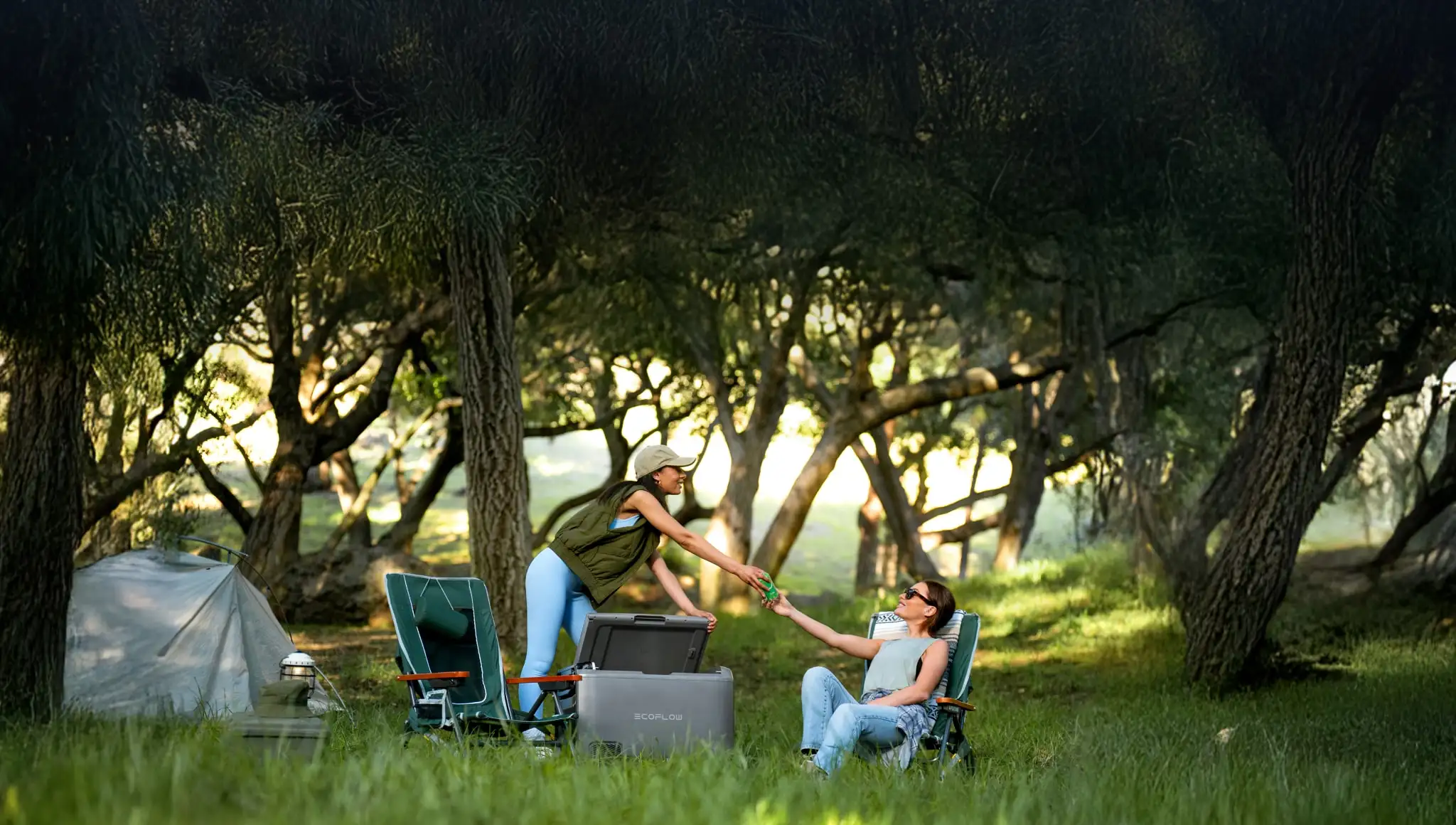 EcoFlow Image