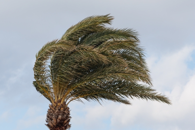 強風 対策 まとめ