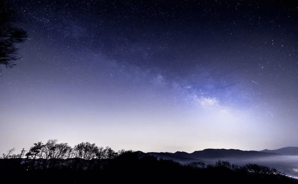 埼玉県｜美の山公園
