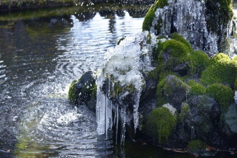 今年の冬が寒い