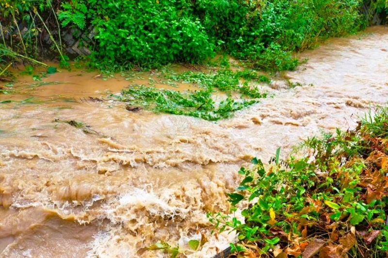 風水害について