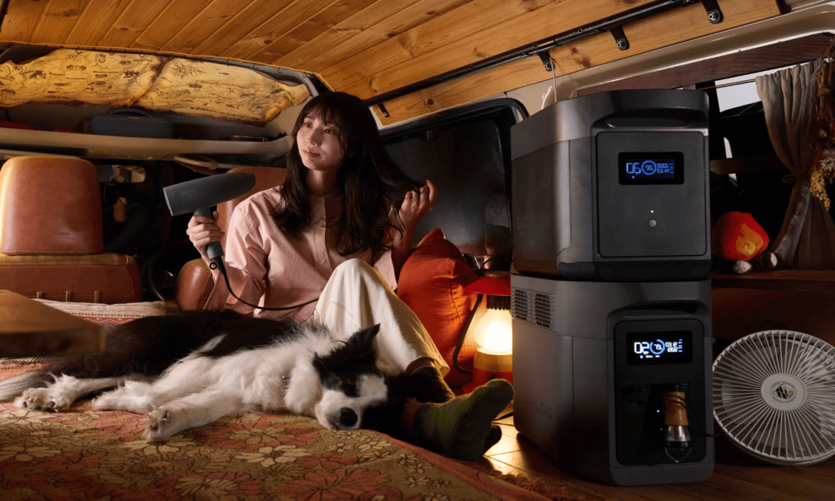 ポータブル電源　EcoFlow DELTA 2 Max S　EcoFlow DELTA 2 Max　比較