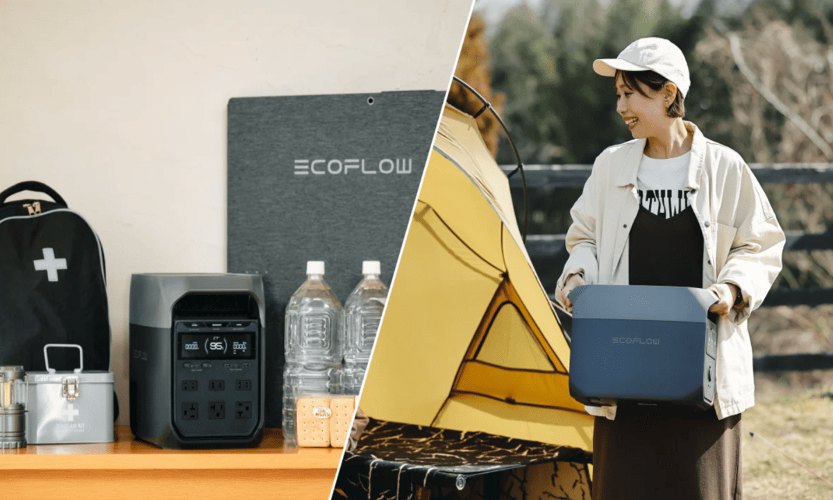 福利厚生ギフト ポータブル電源 EcoFlow DELTA 3