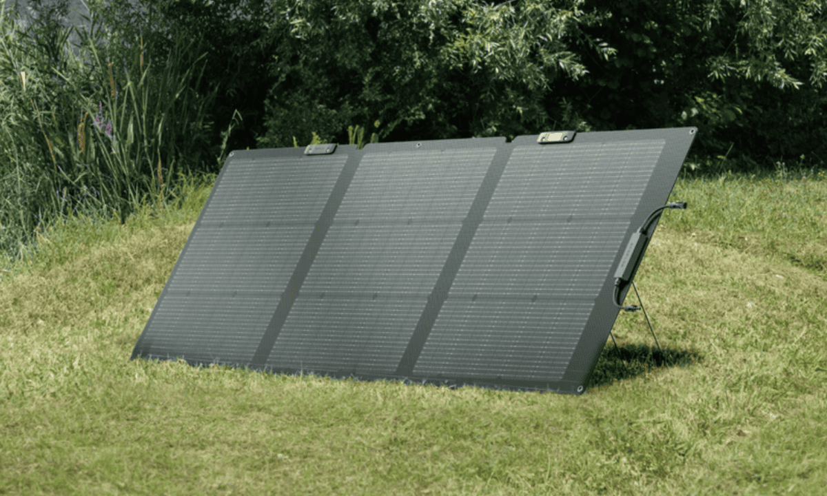 EcoFlow ポータブル電源 ランキング 2025年