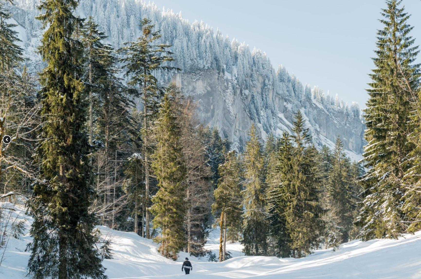 Winterwandern Oberstdorf im Ins Rohrmoos