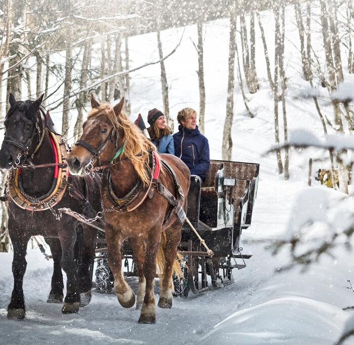 Pferdeschlittenfahrt in Saalbach