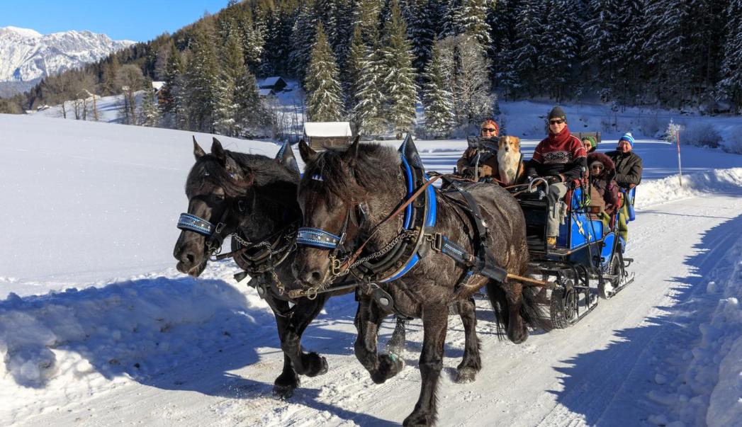 Schladming Dachsteins Pferdeschlittenfahrt