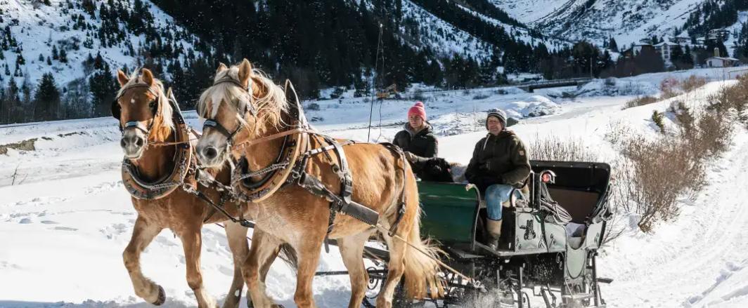 Pitztal Pferdeschlittenfahrt