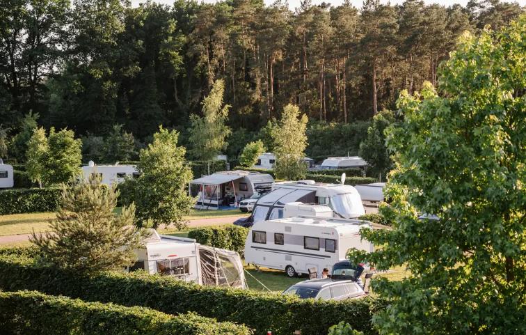 Campingplatz Südheide mit Mobilheimen