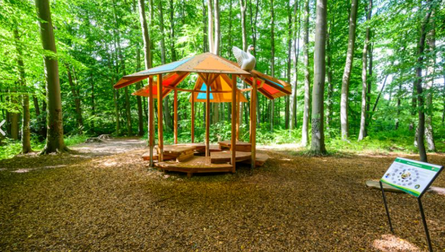 Im Bad Doberaner Waldspaziergang