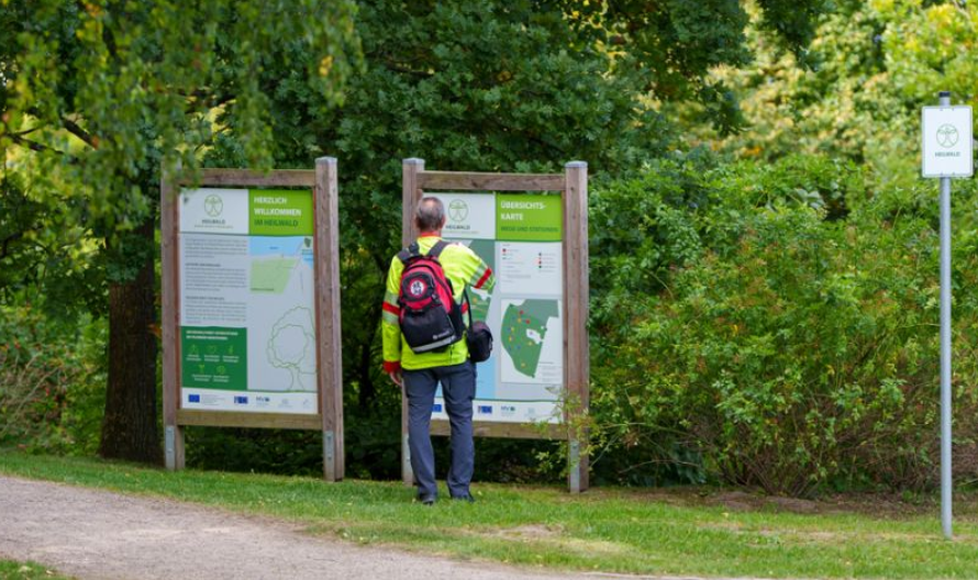 Im Wustrow Waldspaziergang