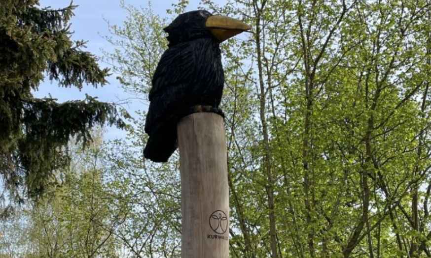 Im Krakow am See Waldspaziergang