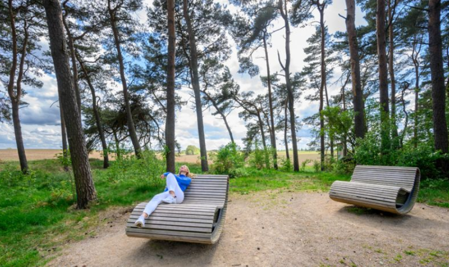 Im Plau am See Waldspaziergang