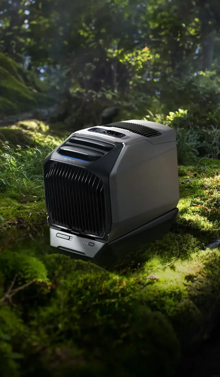 EcoFlow Image