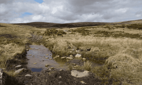 Dartmoor Moorlands, Devon
