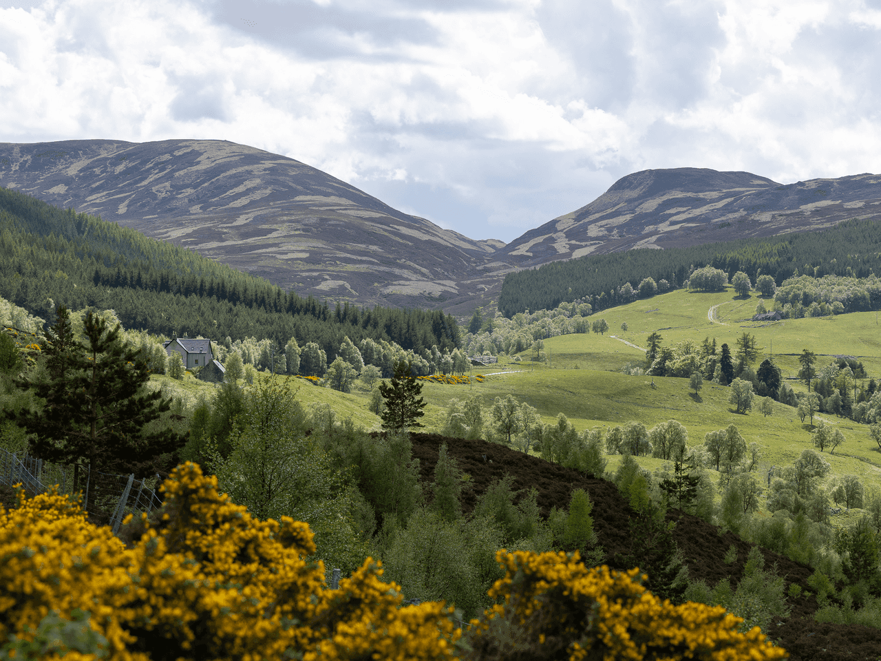 Cairngorms National Park