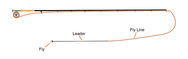 Fly fishing gear: Fly line system: line, leader, and tippet