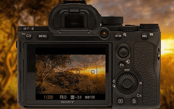 Best Camera Settings for Nature Photography