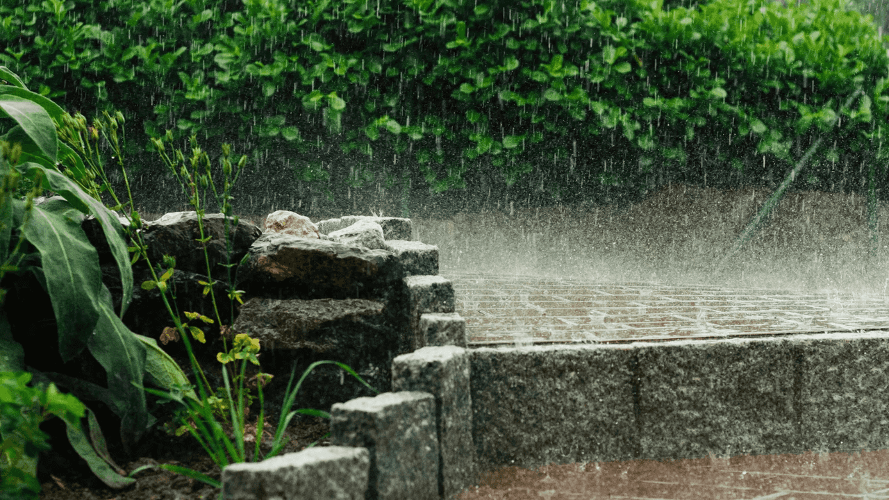 Water features and circulation