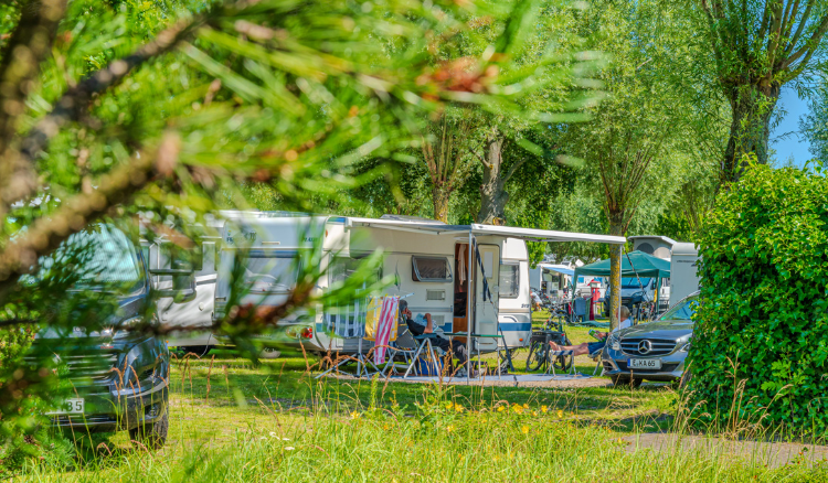 Campingplatz Prerow Düne 6