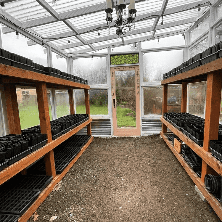  Image showing shelving and storage solutions in shed and greenhouse combo designs