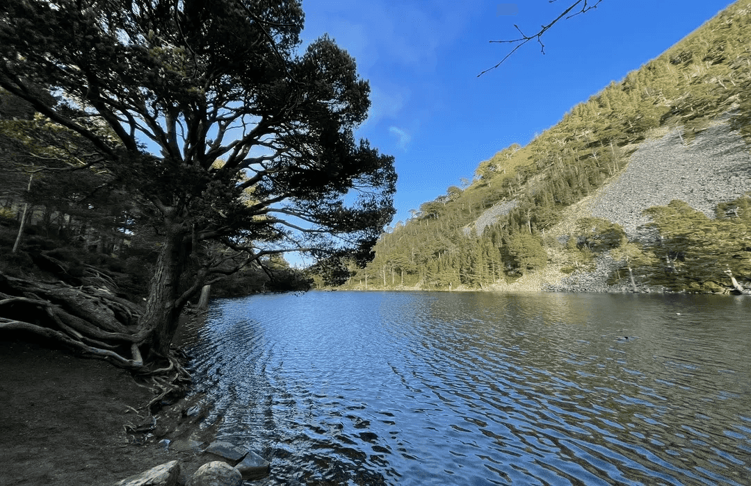 Cairngorms National Park, Scotland