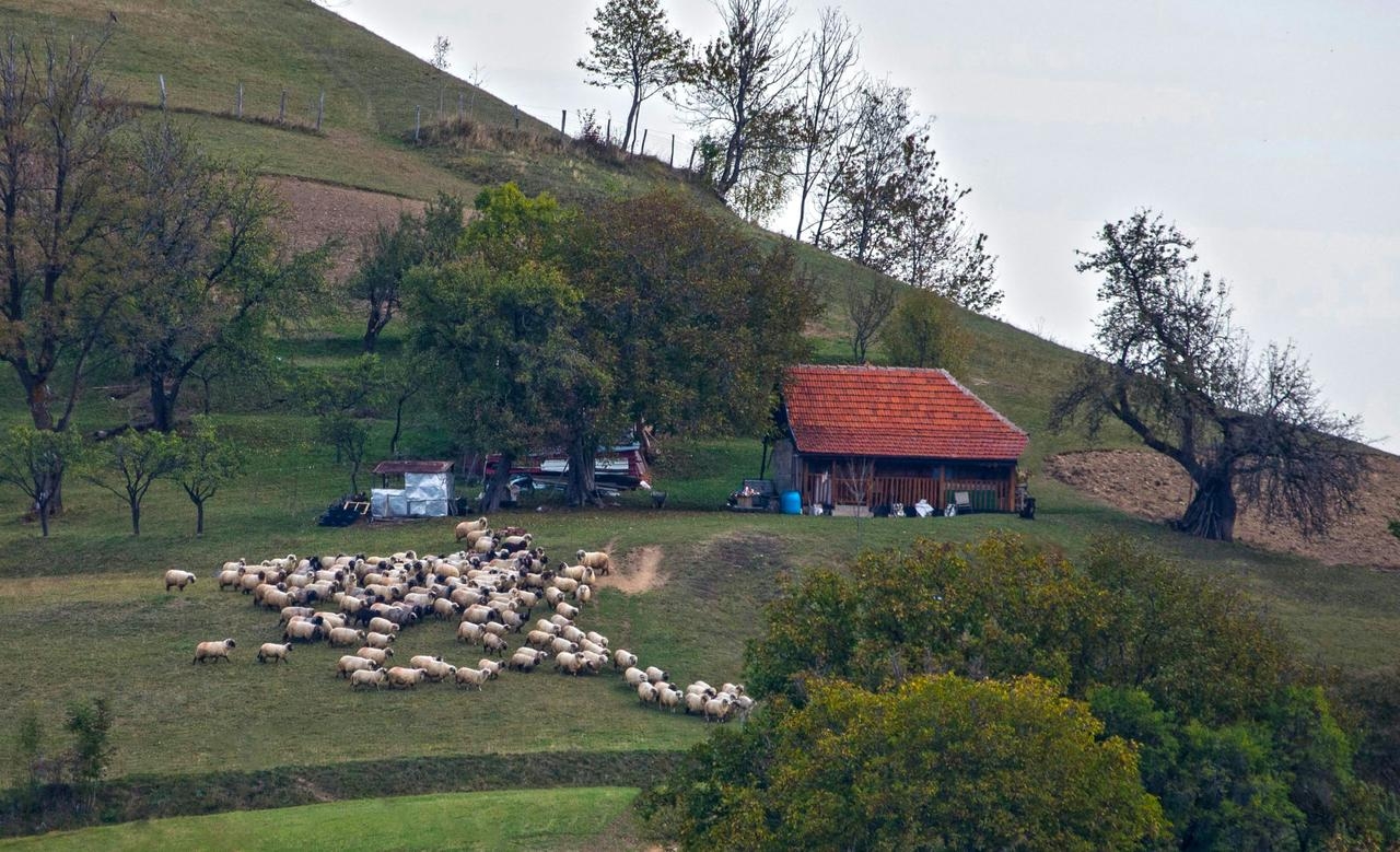camping à la ferme