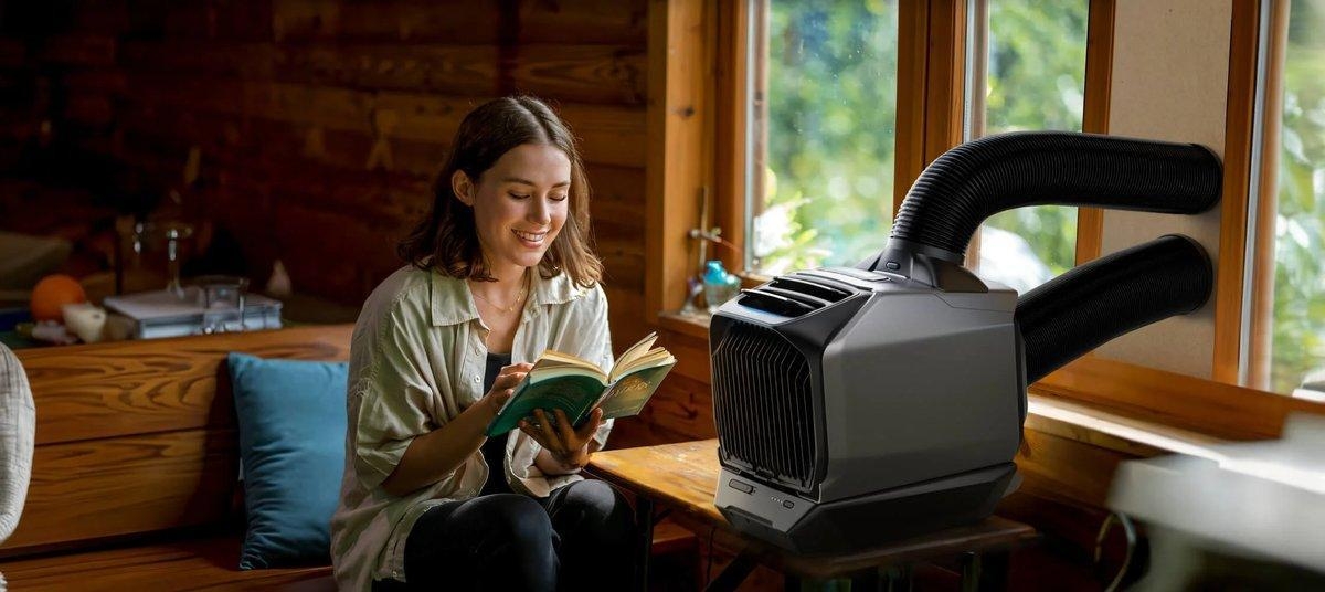 climatiseur EcoFlow interieur chat fraîcheur été