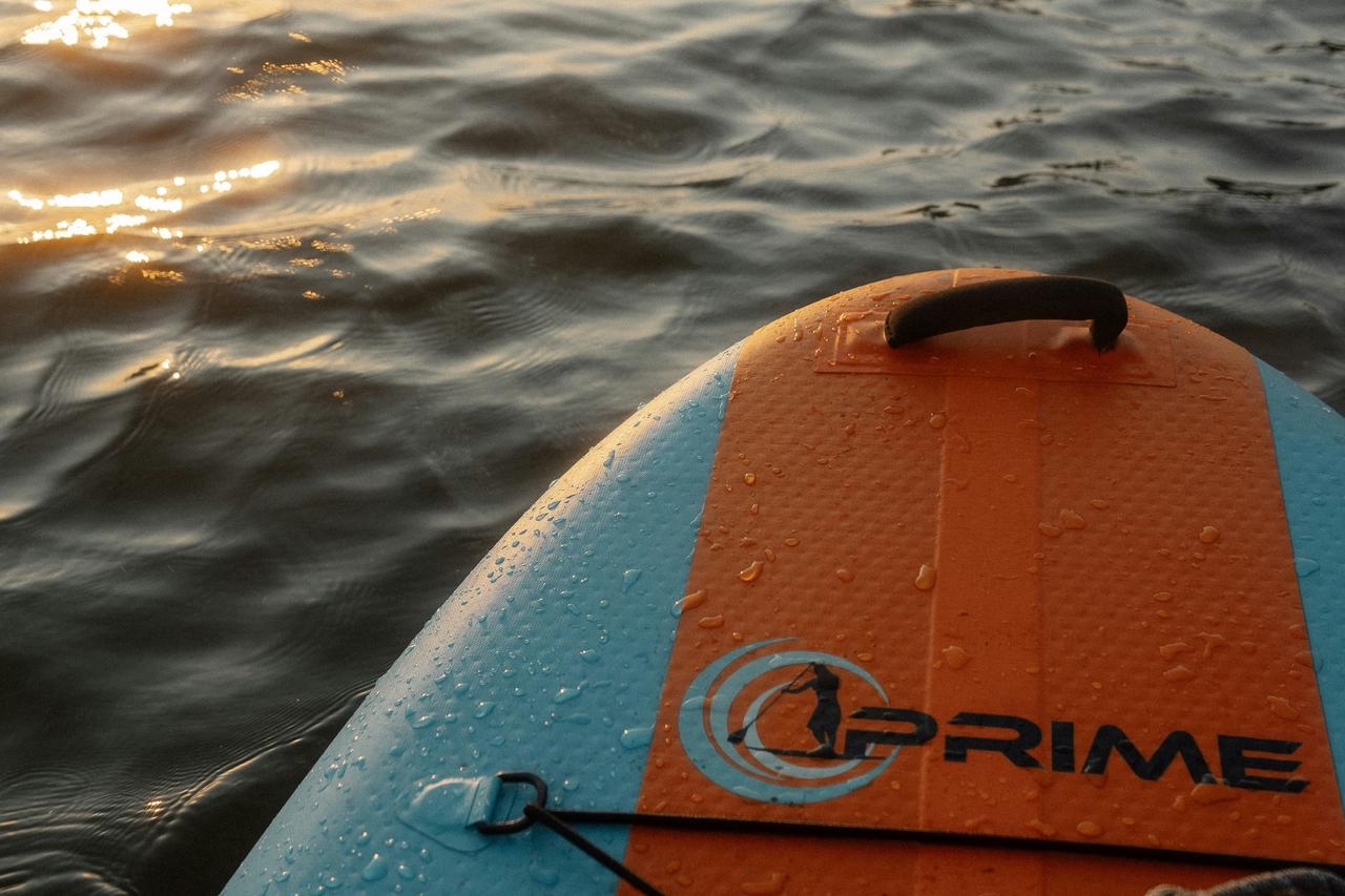 Pompe électrique paddle