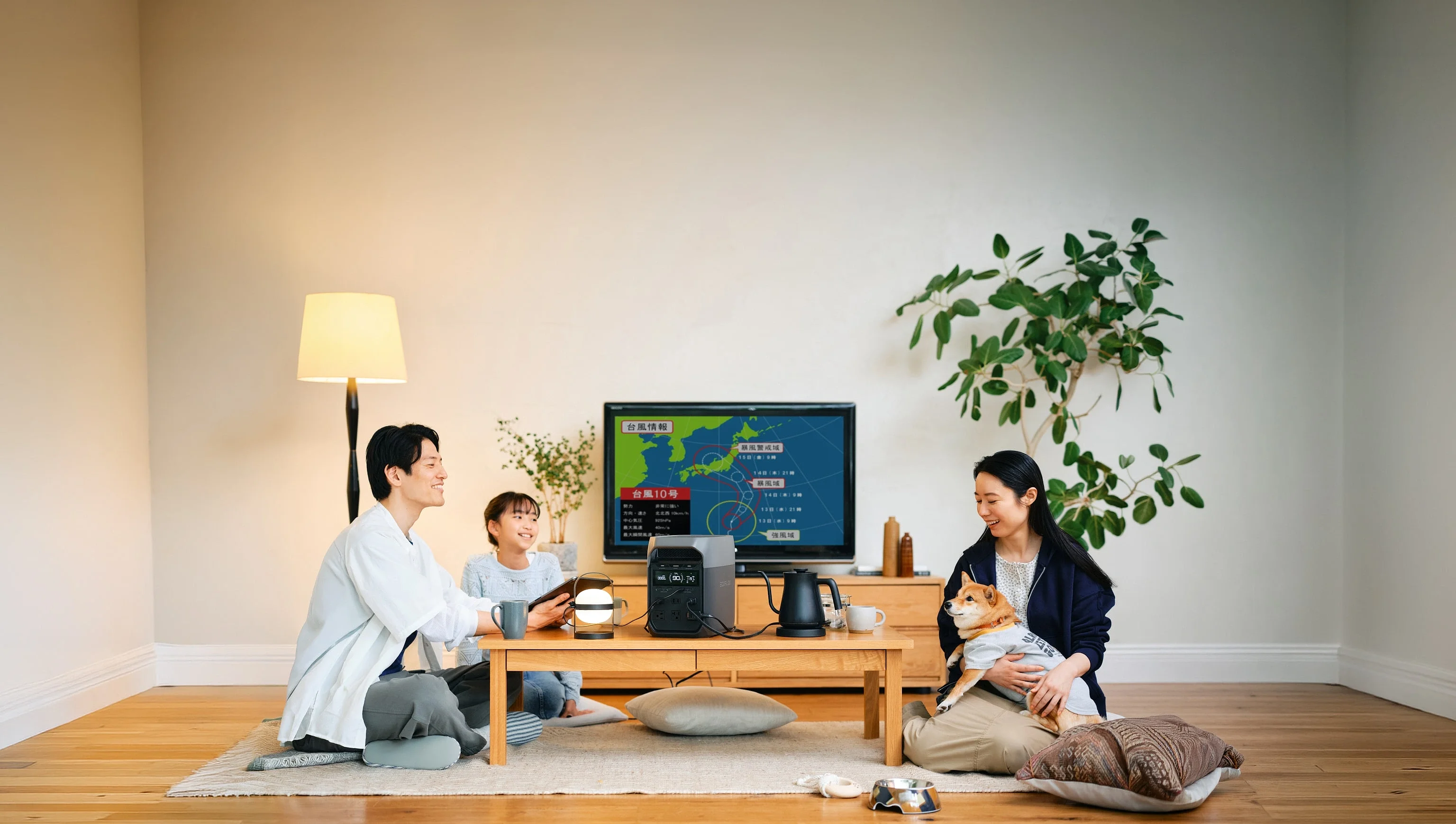 EcoFlow Image