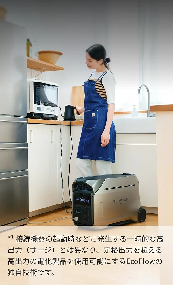 EcoFlow Image